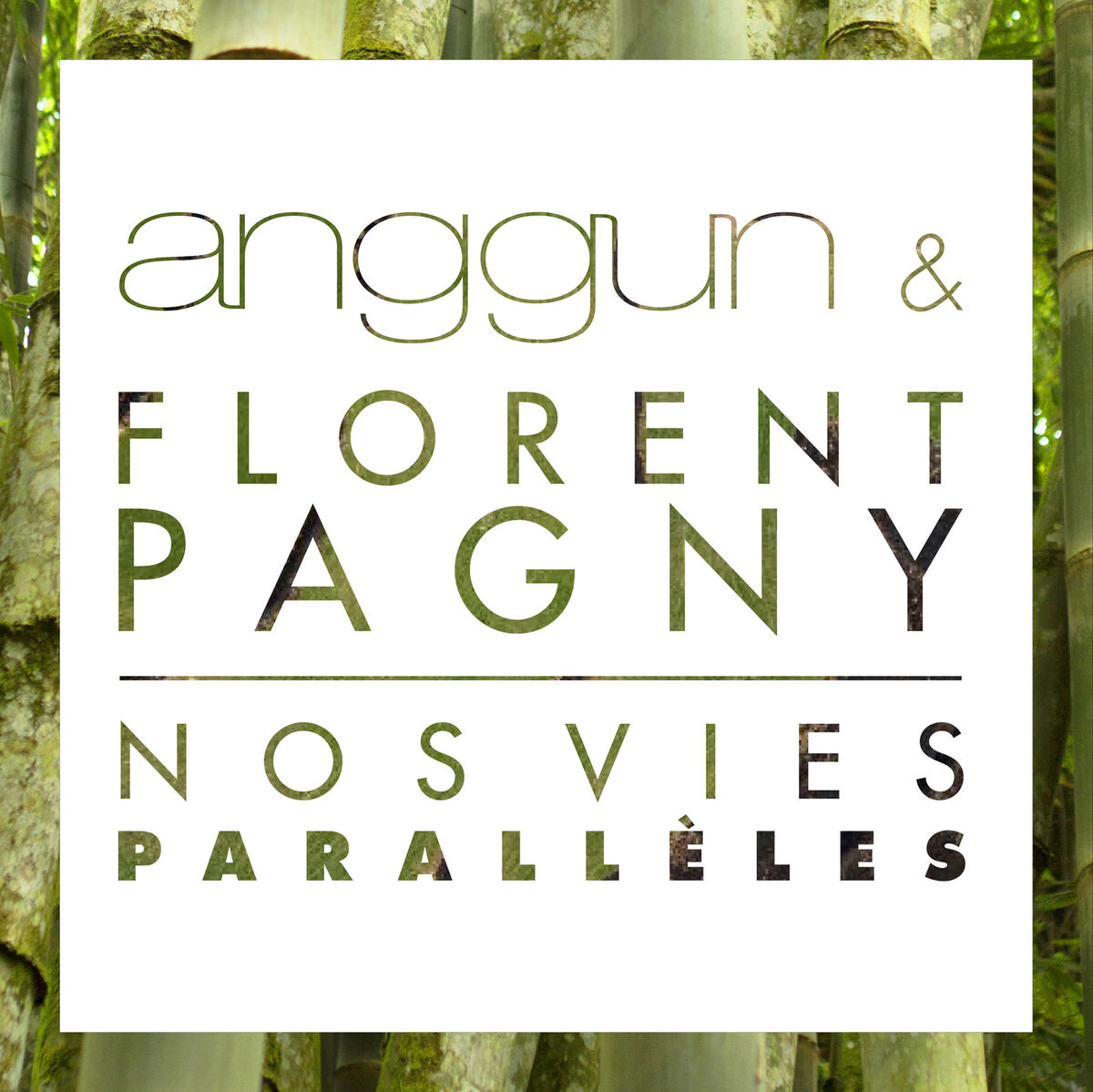 Album cover of Nos vies parallèles