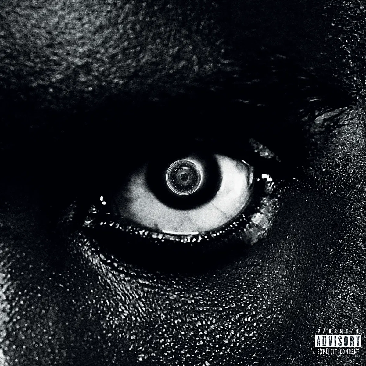 Lithopédion, Damso