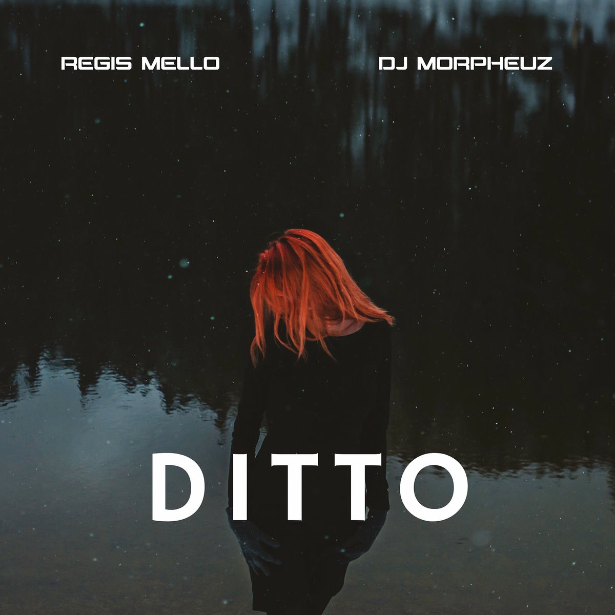 Album cover of Ditto