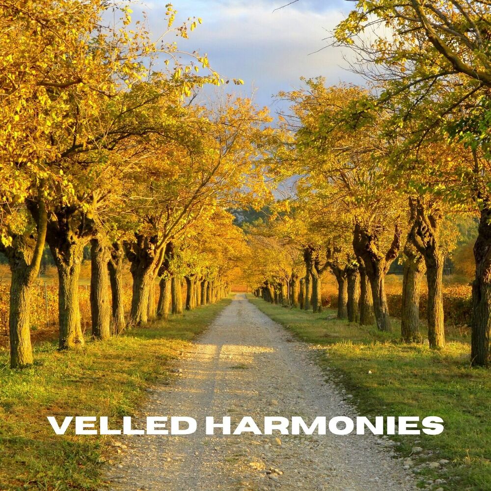 Picture of Veiled Harmonies