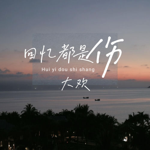 回忆都是伤