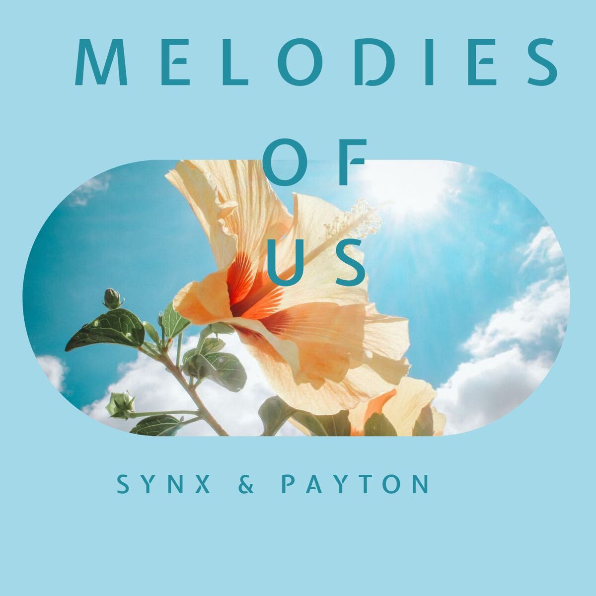 Album cover of Melodies Of Us