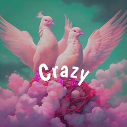 Cover of Crazy