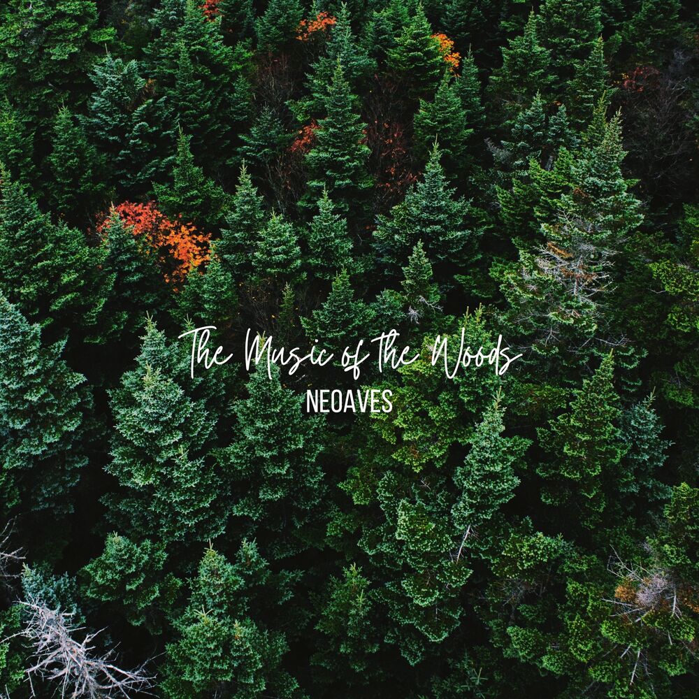 Picture of The Music of the Woods