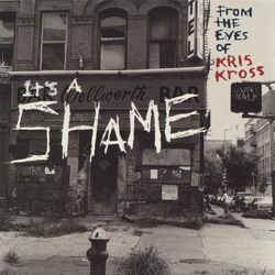 Cover of It's A Shame