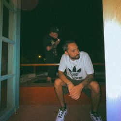 Cover of No estás aquí