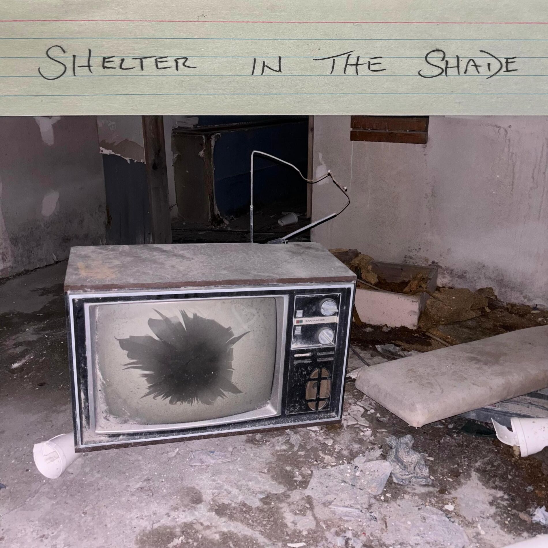 Album cover of Shelter in the Shade