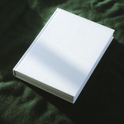 Cover of The Book of Boba Fett
