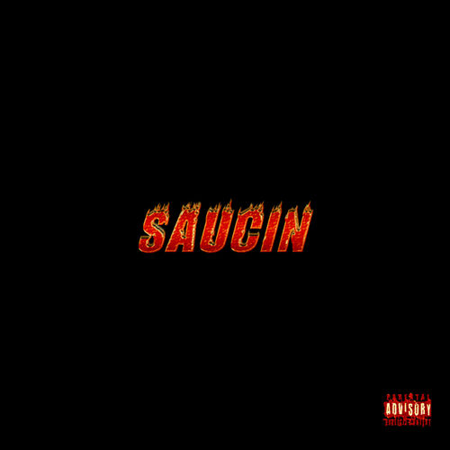 SAUCIN artwork