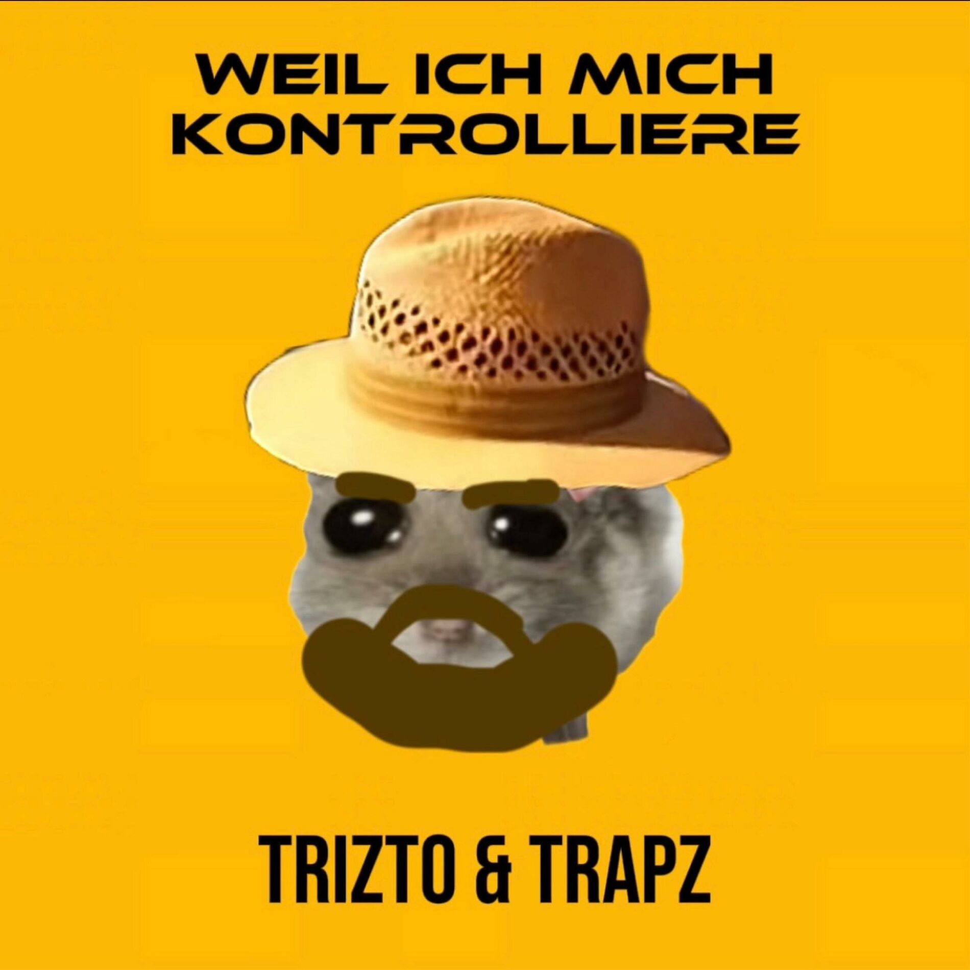 Album cover of Weil ich mich kontrolliere