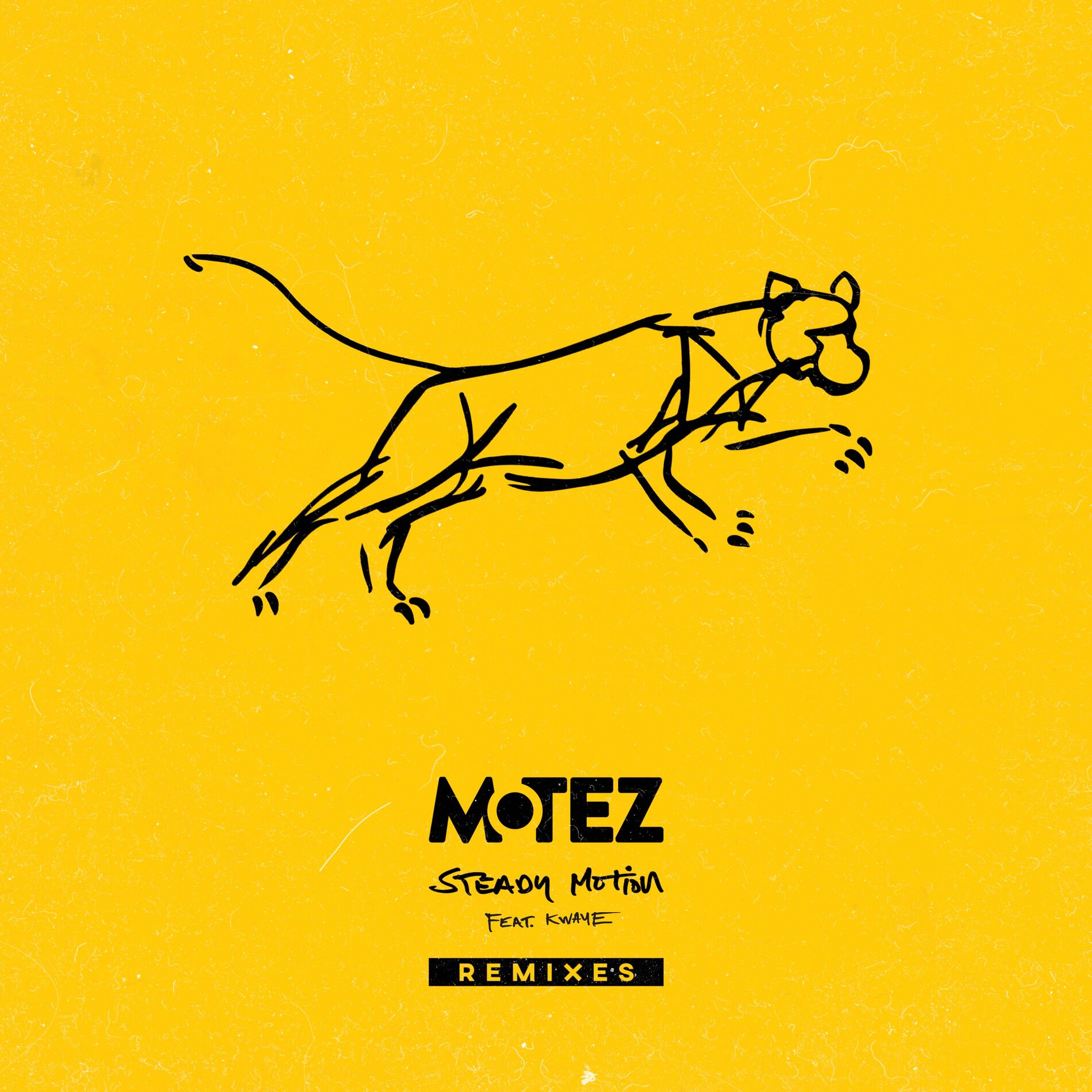 Album cover of Steady Motion (Remixes)
