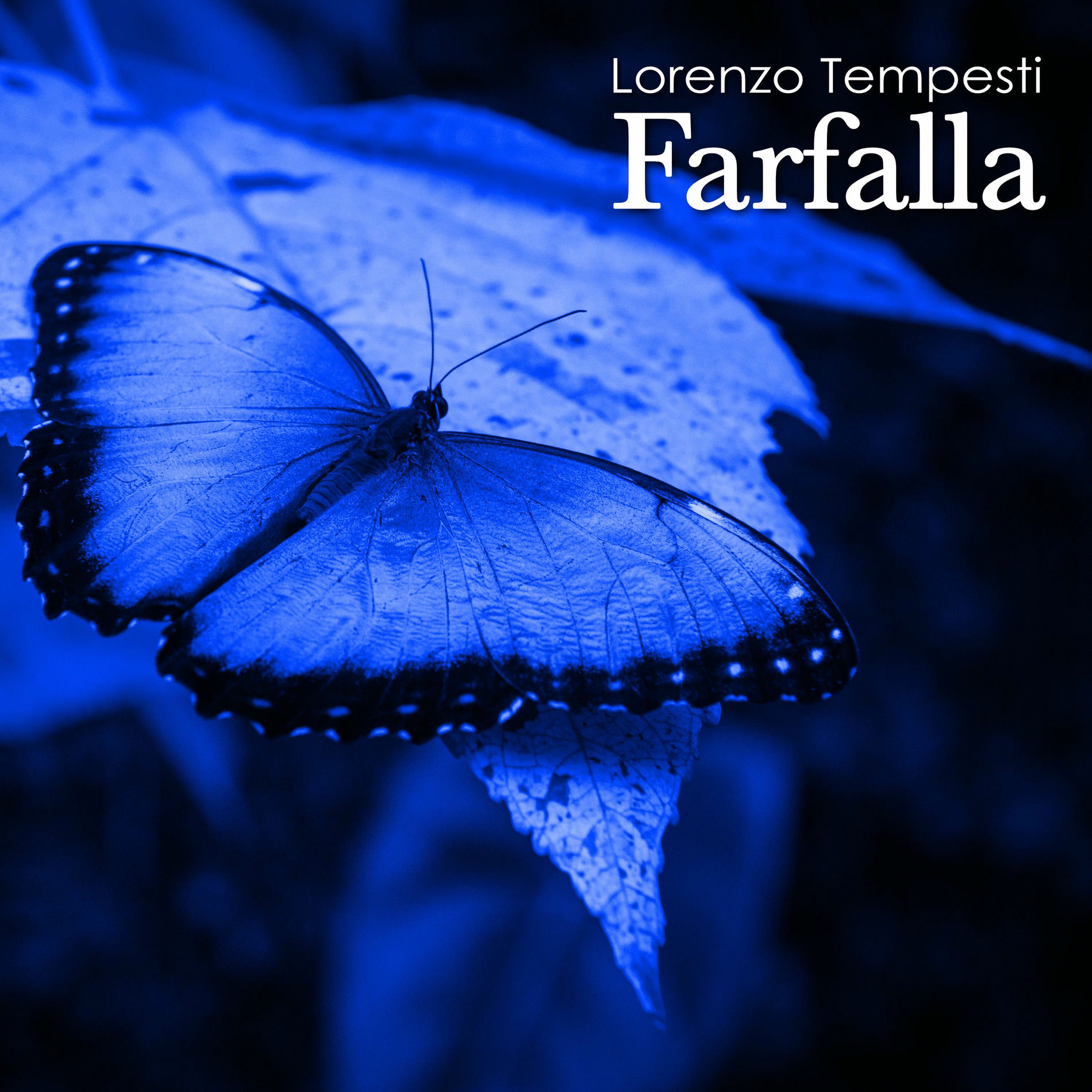 Album cover of Farfalla