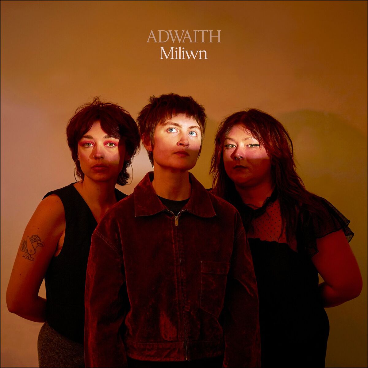 Album cover of Miliwn