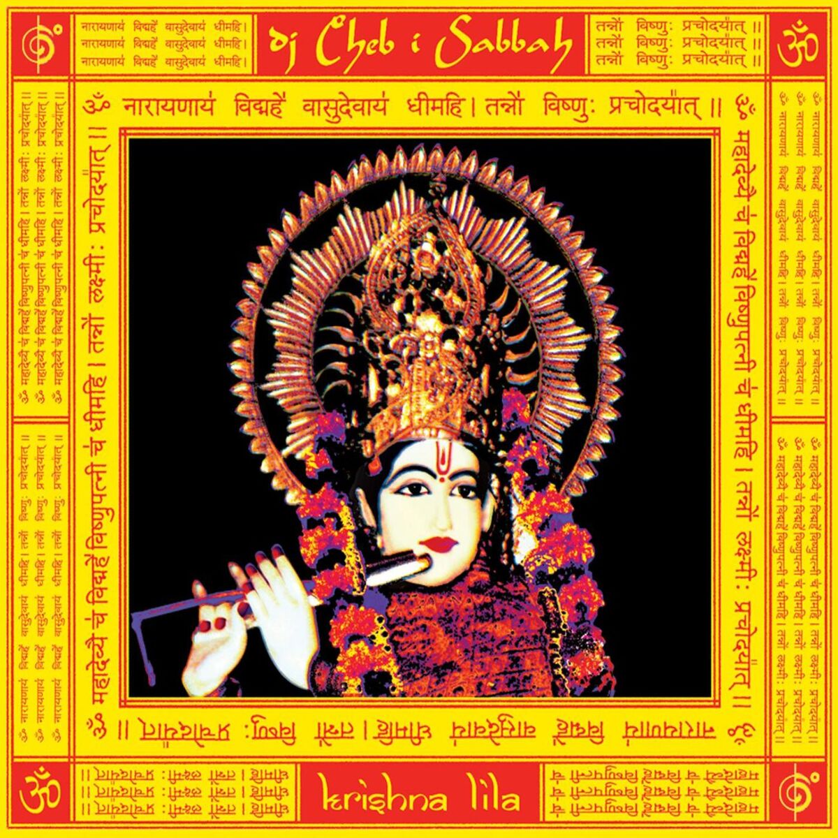 Album cover of Krishna Lila