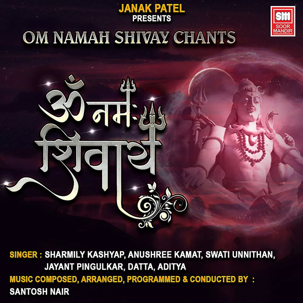Picture of Om Namah Shivay Chants