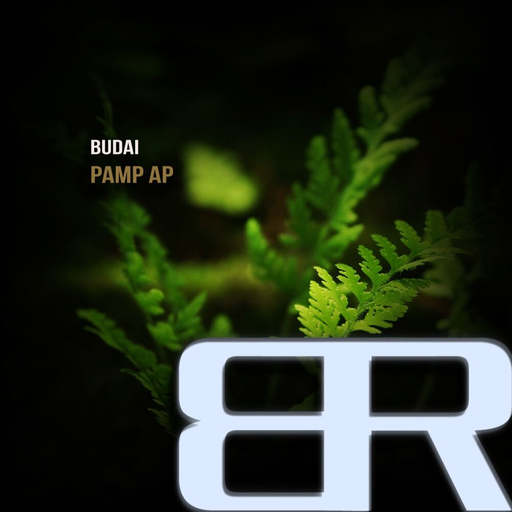 Picture of Pamp Ap