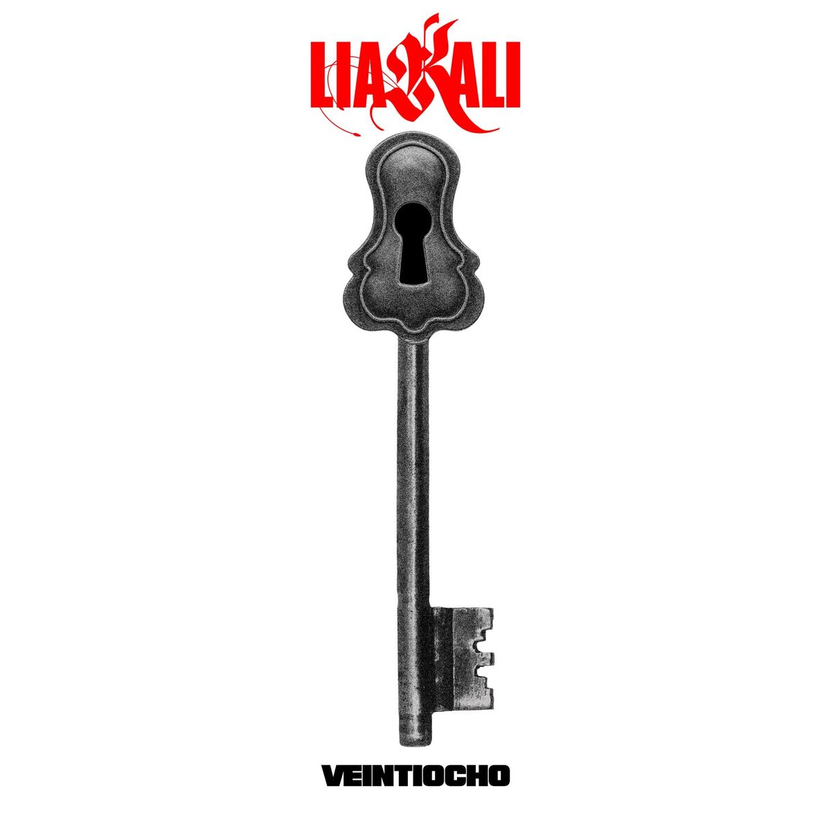 Album cover of Veintiocho