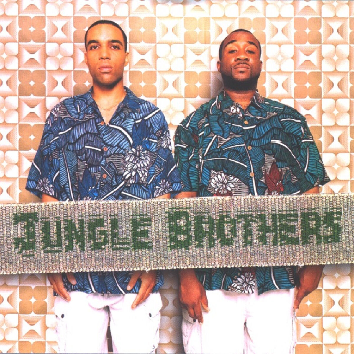 Album cover of V.I.P