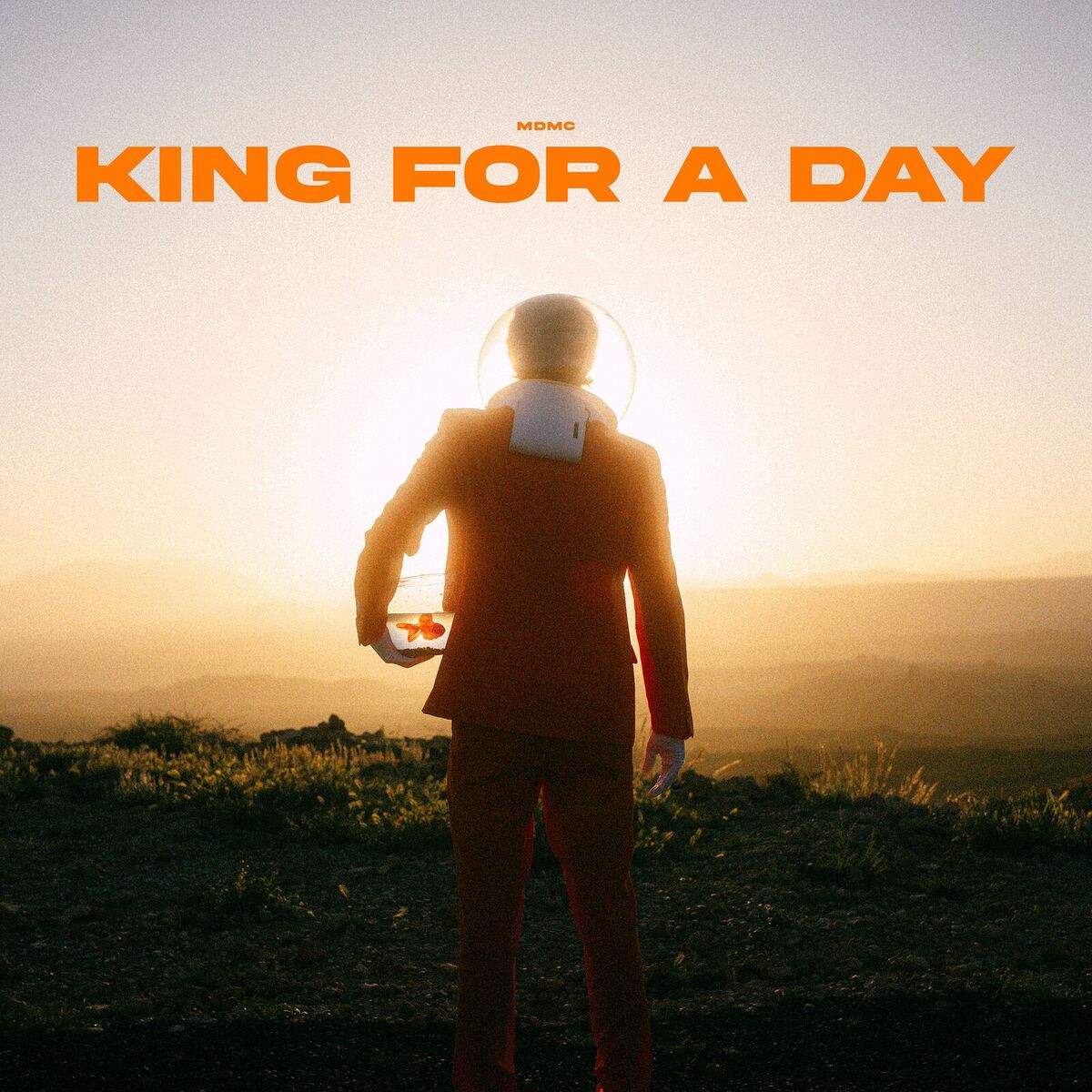 Album cover of King for a Day
