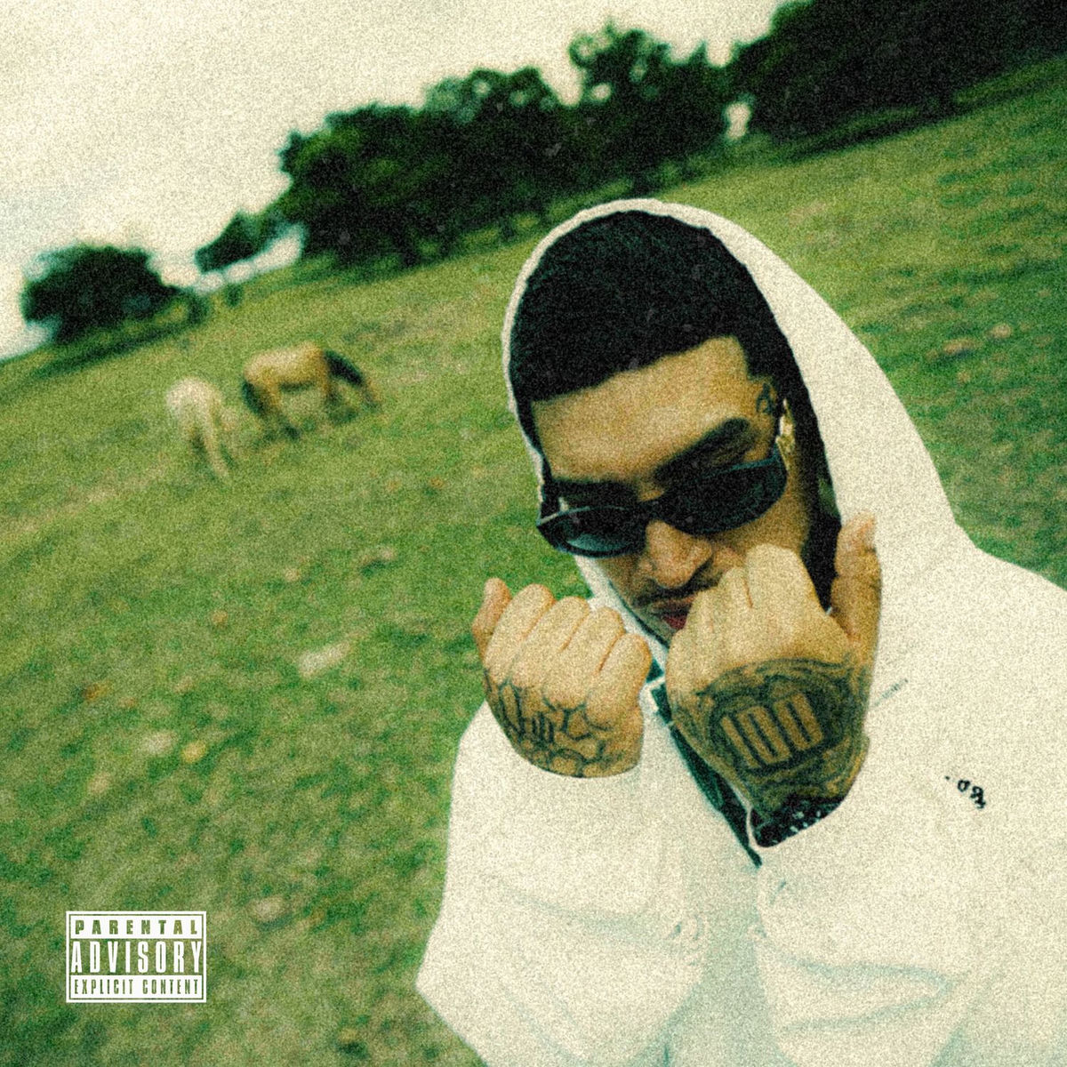 Album cover of Envejecerás conmigo