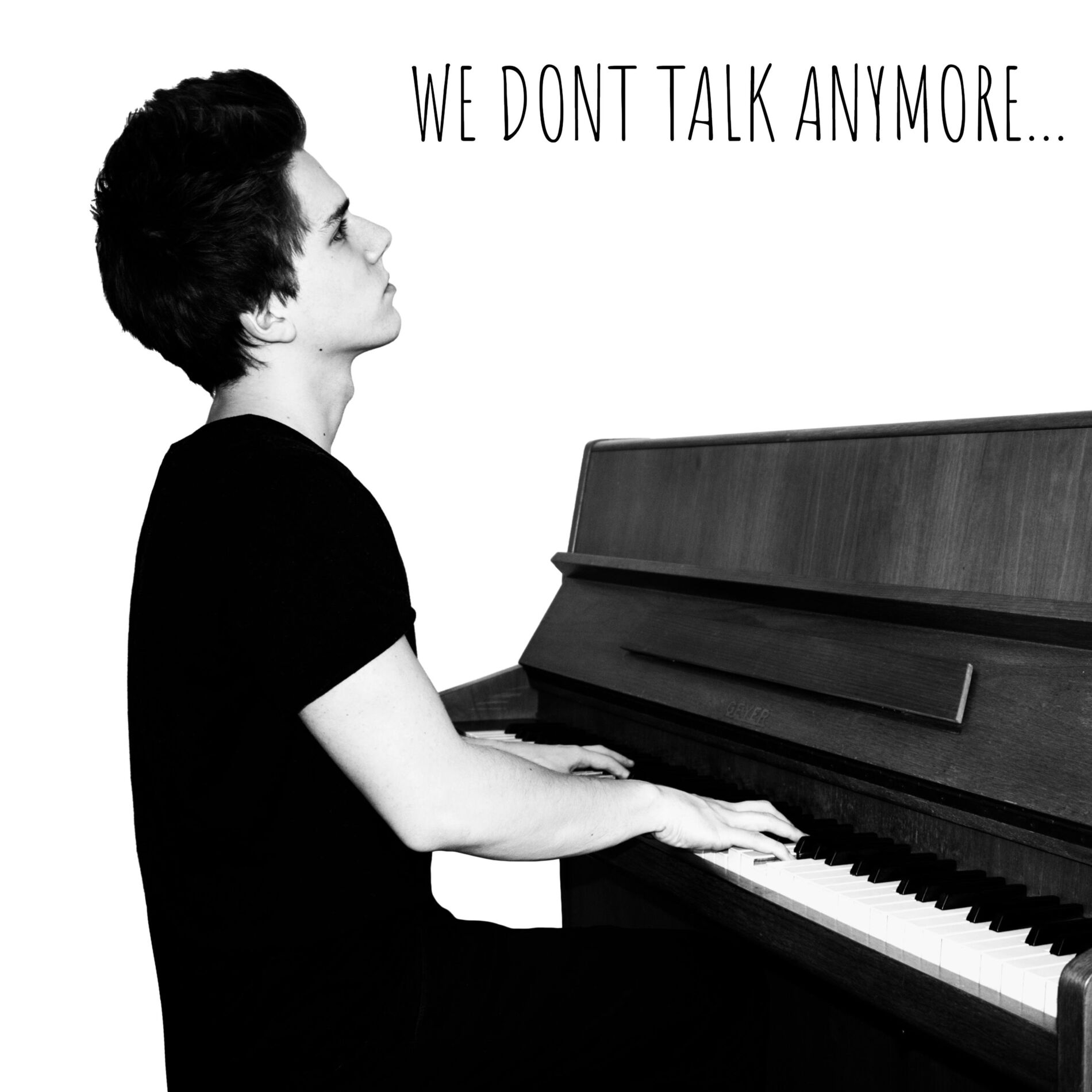 Album cover of We Don't Talk Anymore