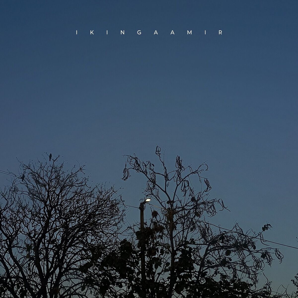 Album cover of The Happy Song