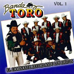 Cover of El Caminante Recordando los Exitos, Vol. 1