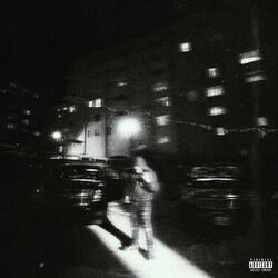 Cover of Rollin