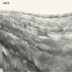 Cover of WE3