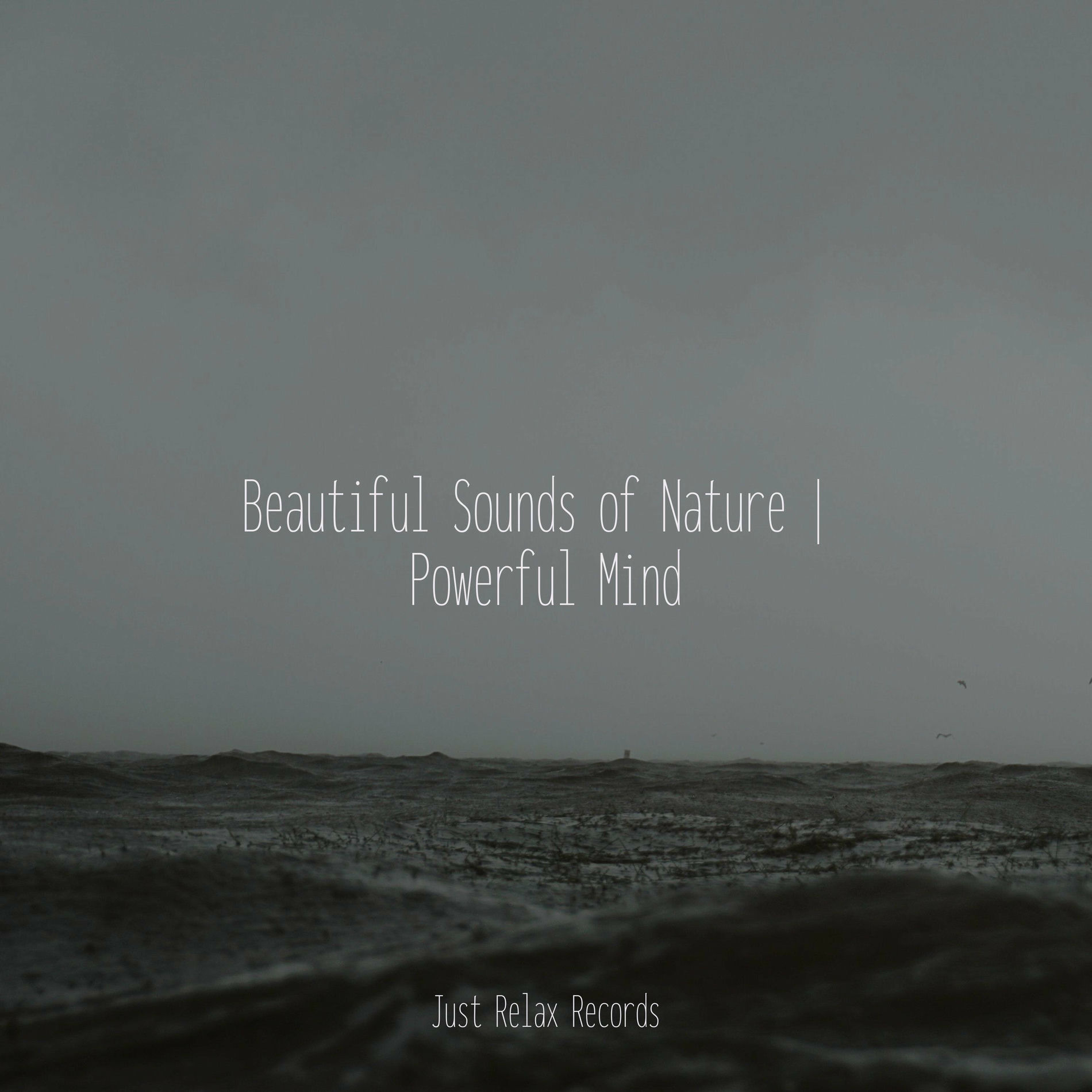 Album cover of Beautiful Sounds of Nature | Powerful Mind