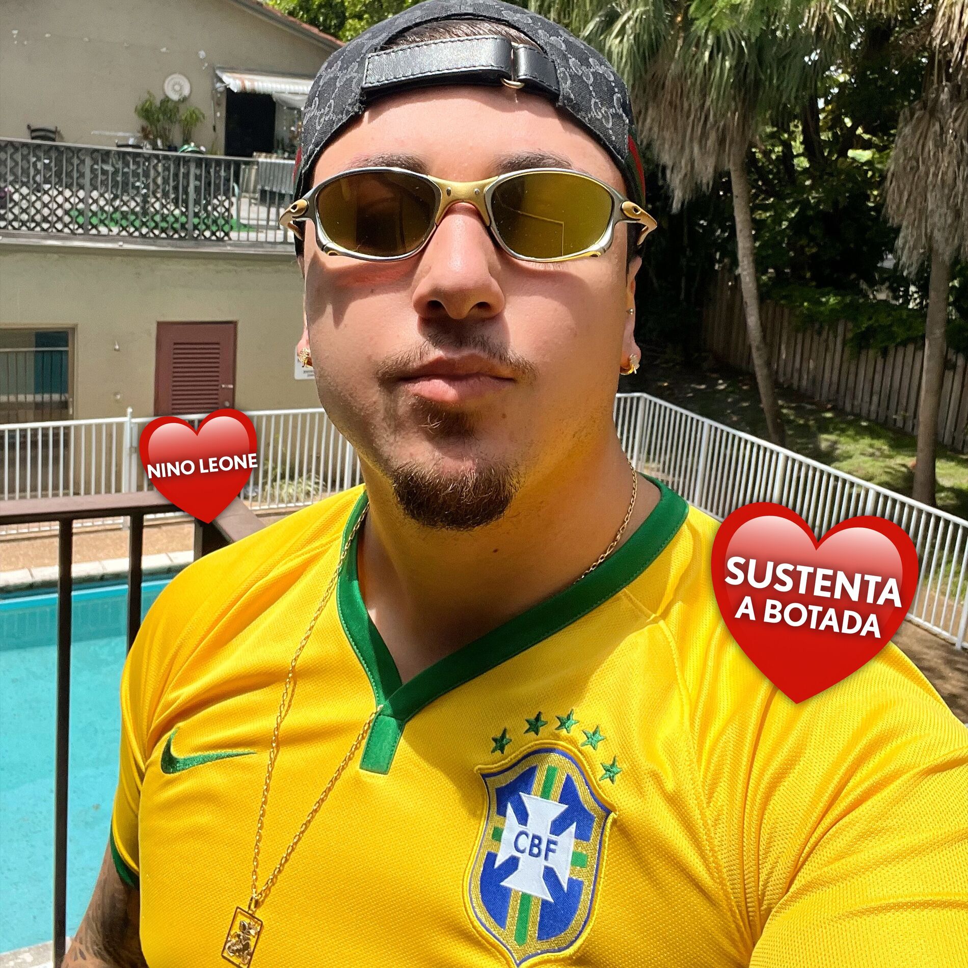 Album cover of Sustenta a Botada