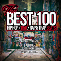 Various Artists - The Best 100 Hip Hop Beats (Hip Hop / R&B / Rap
