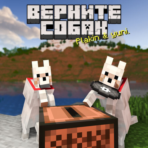 Верните собак