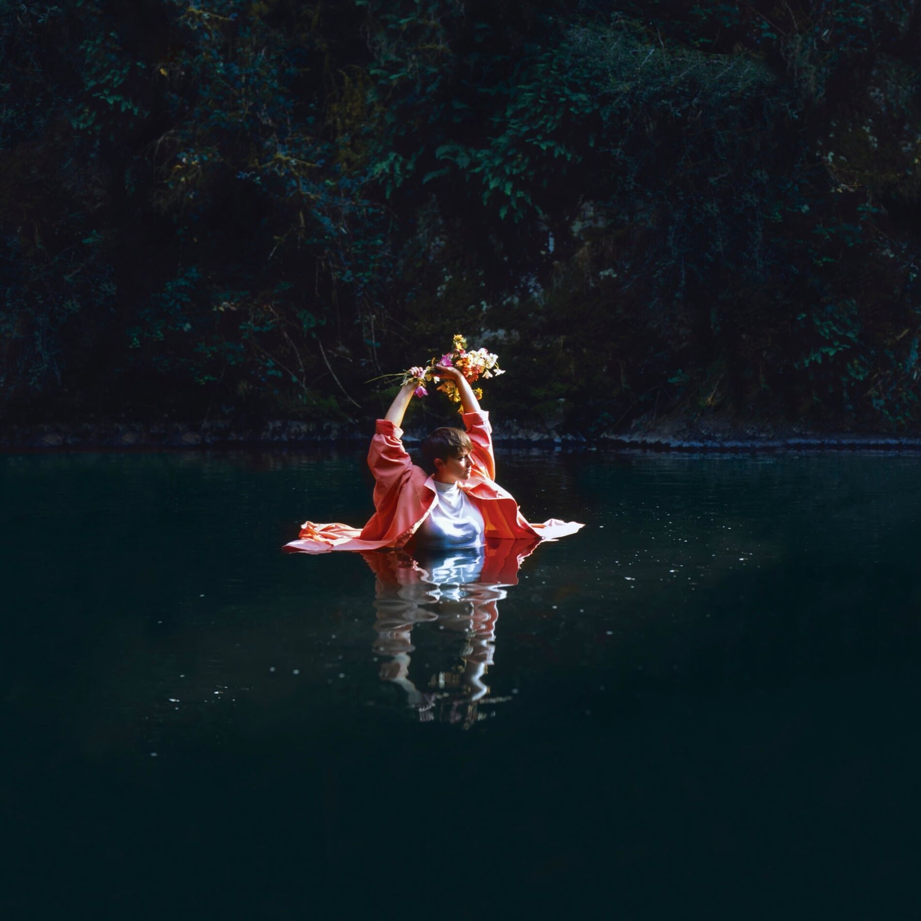 Album cover of Avec le vent