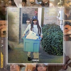 Cover of All The Bright Things
