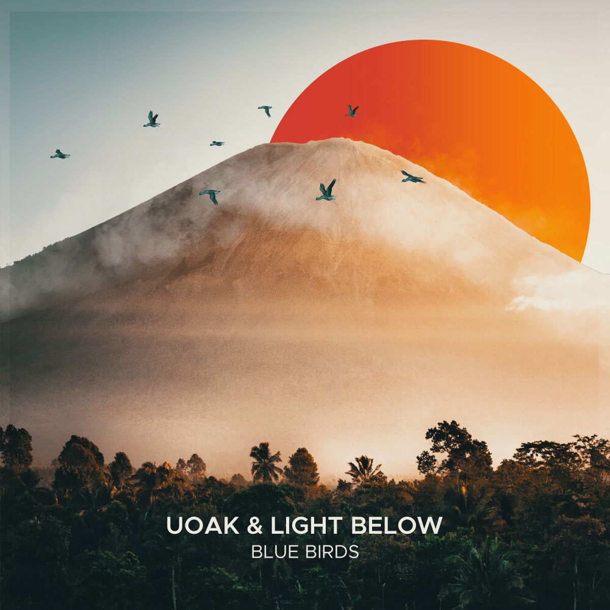 Album cover of Blue Birds