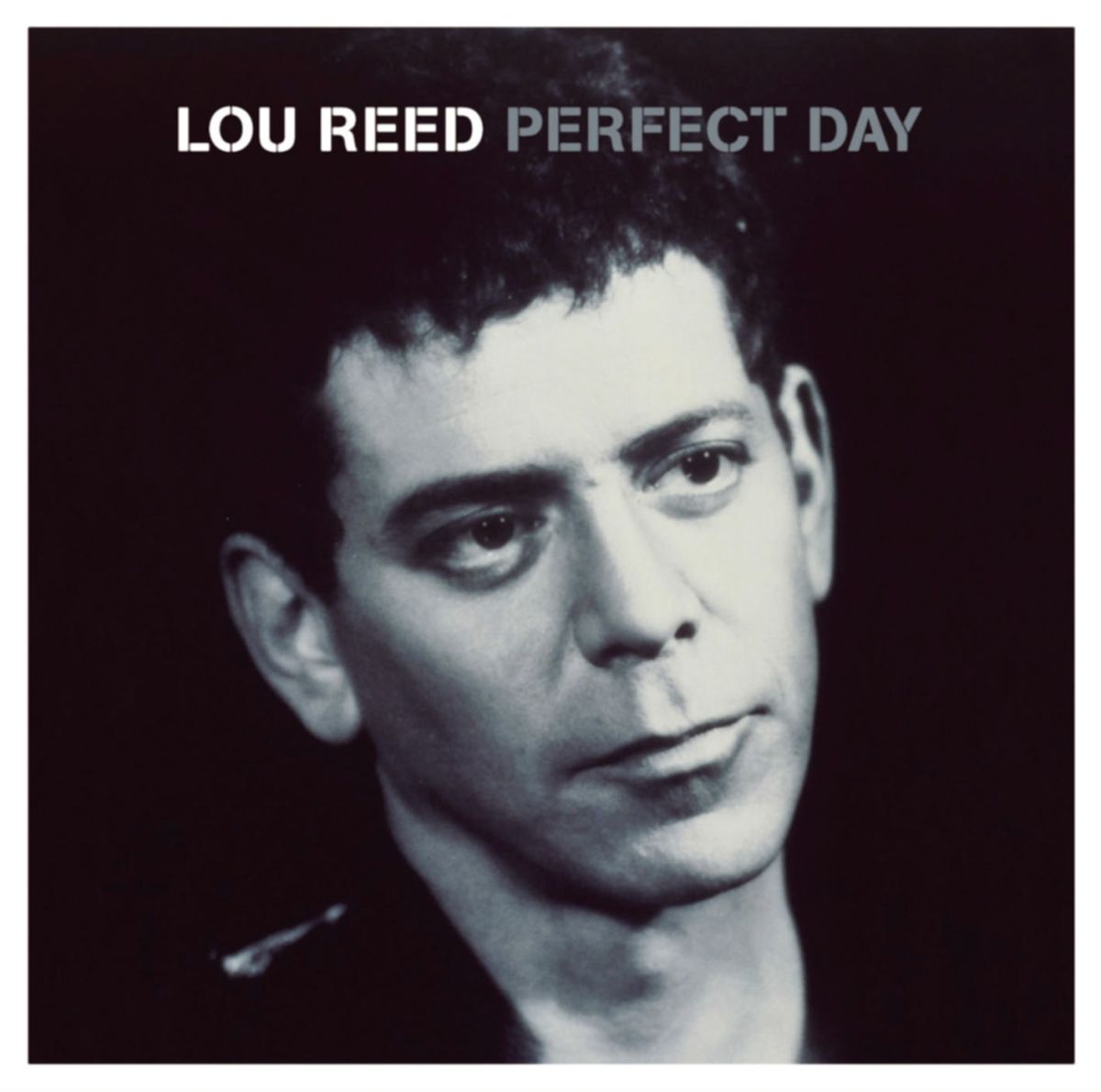 Album cover of Perfect Day