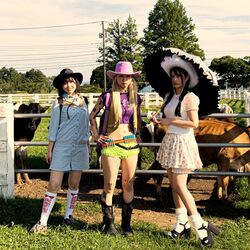 Cover of Rodeo