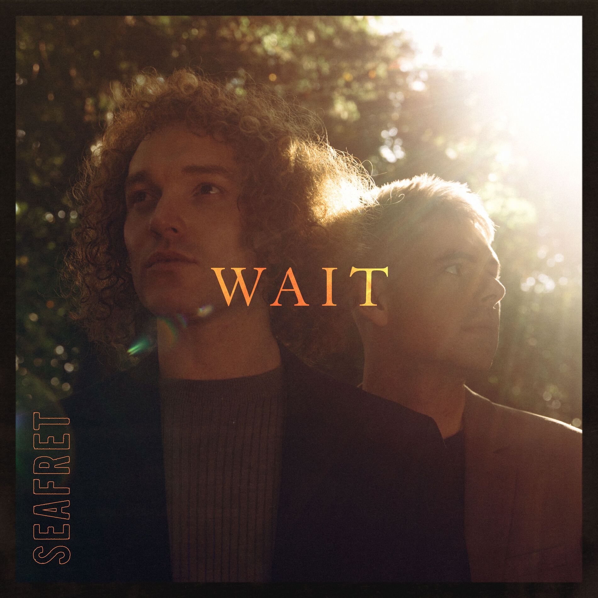 Album cover of Wait