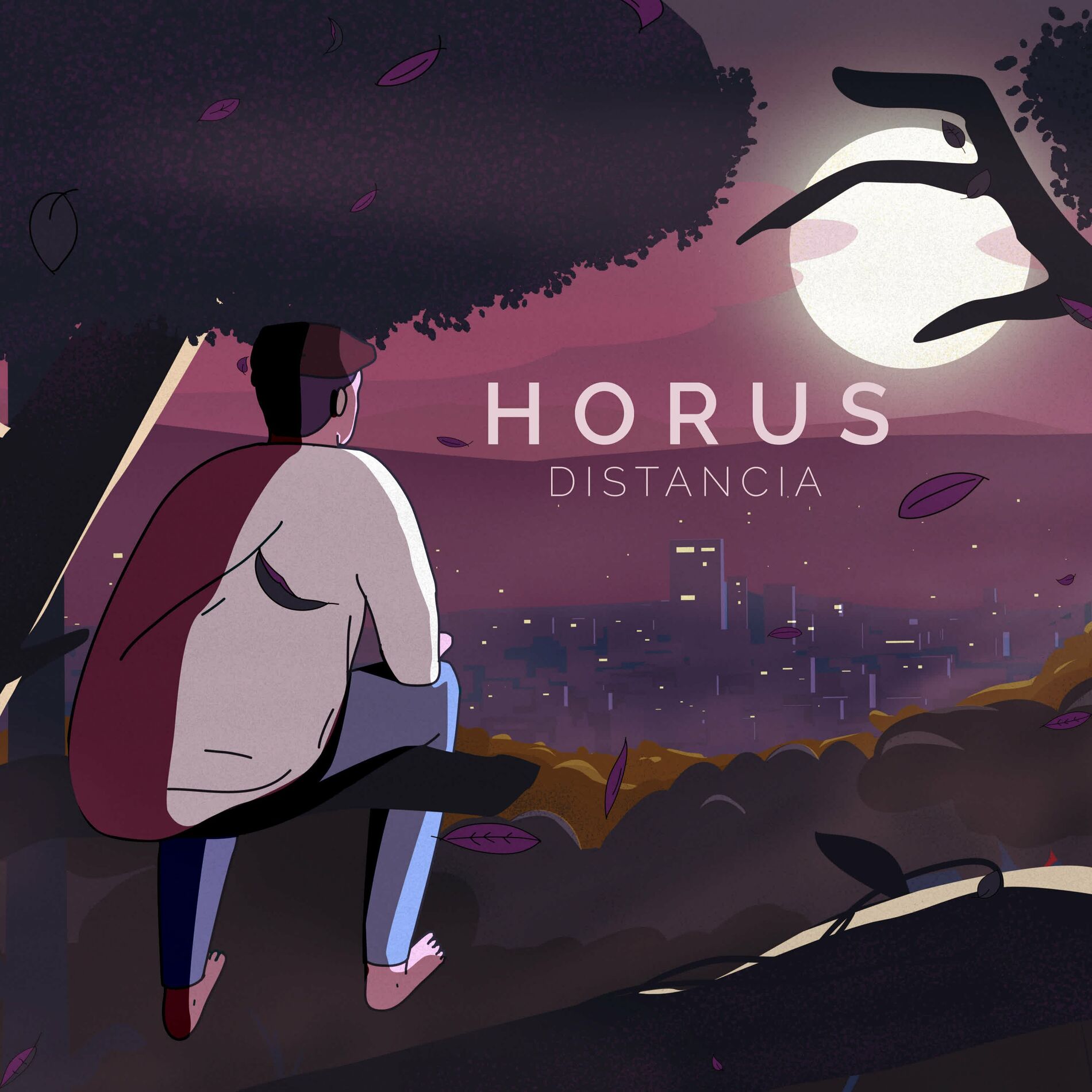 Album cover of Distancia