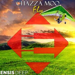 Cover of Fly