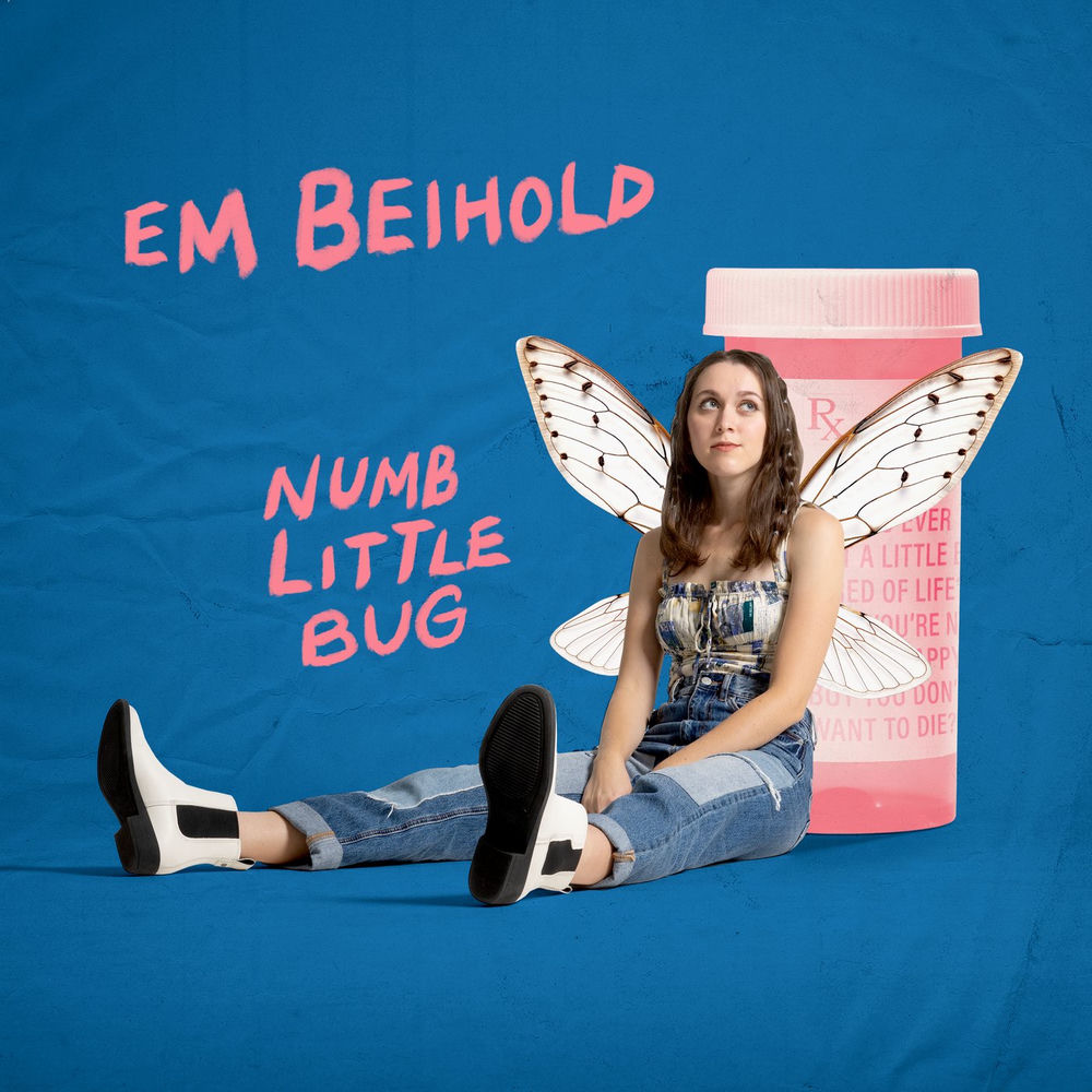 Numb Little Bug album cover