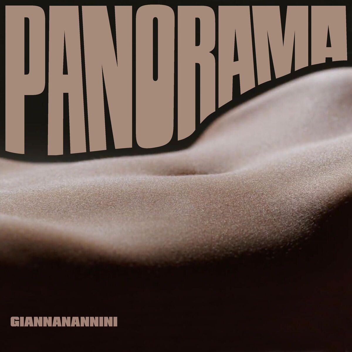 Album cover of PANORAMA
