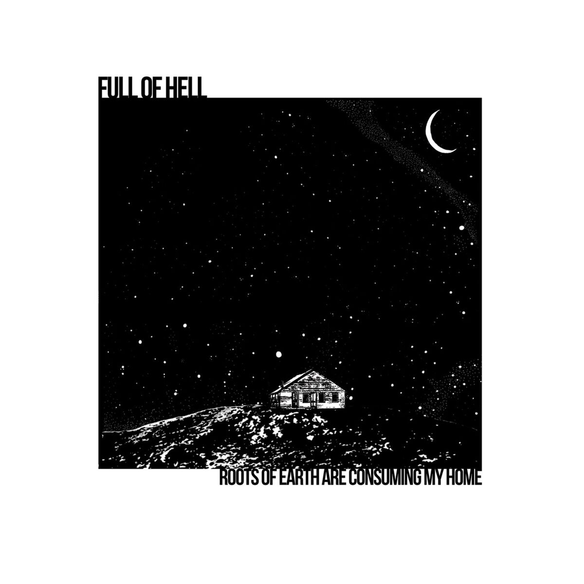 Album cover of Roots of Earth Are Consuming My Home