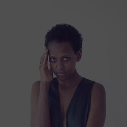 Cover of Stop Talking