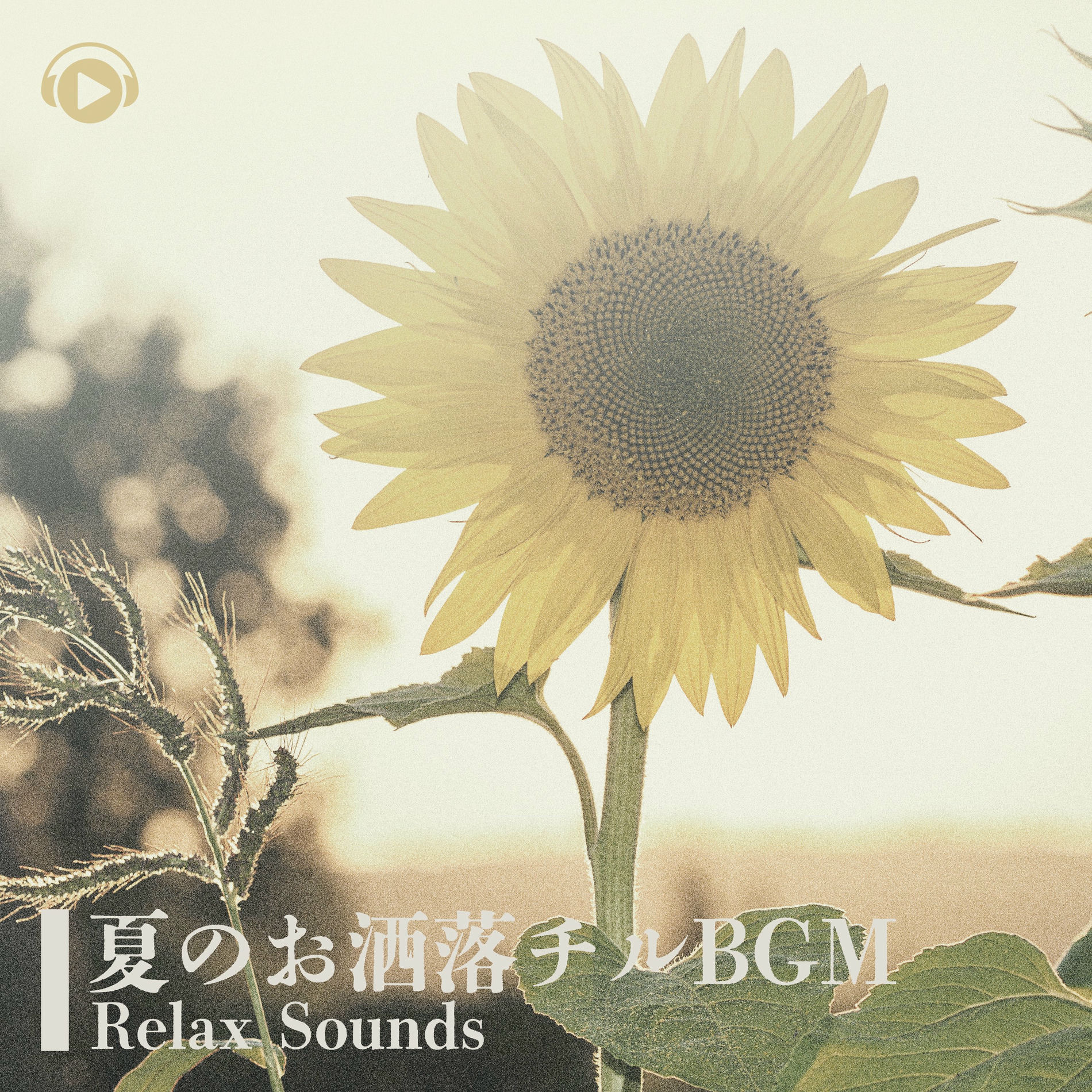 Album cover of Natsu No Osyare Chill BGM -Relax Sounds-