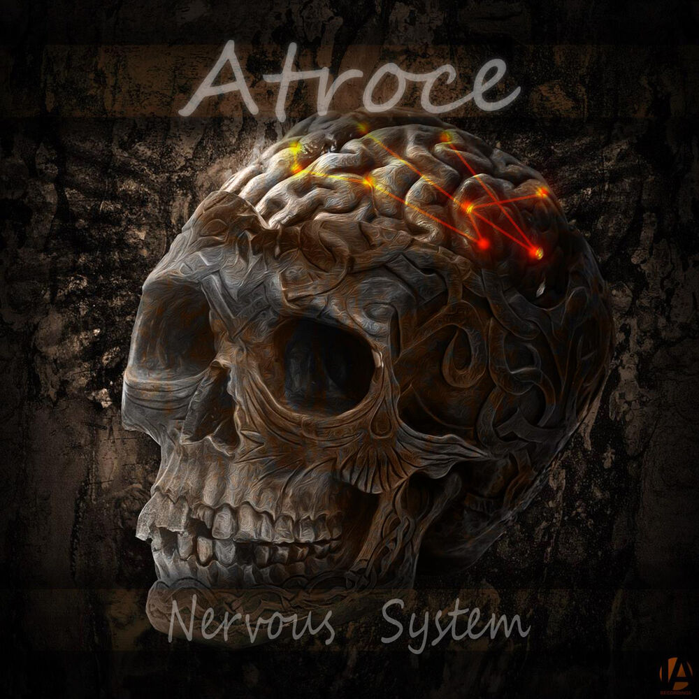 Picture of Nervous System