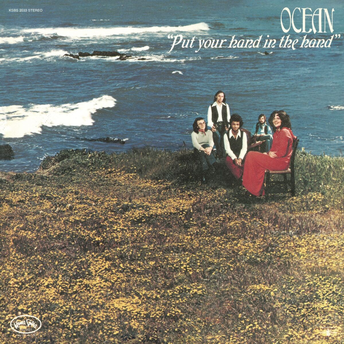 Album cover of Put Your Hand in the Hand