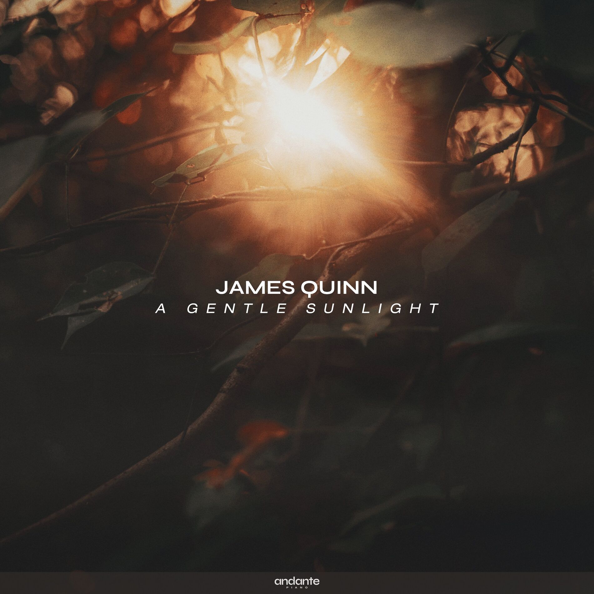 Album cover of A Gentle Sunlight