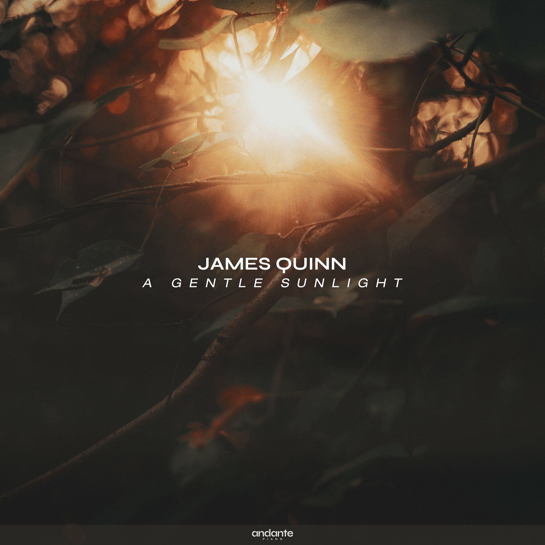 Album cover of A Gentle Sunlight